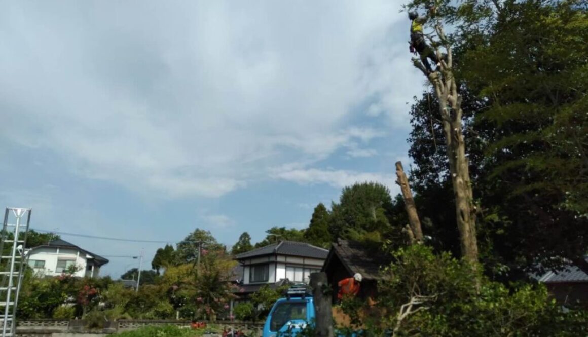 LINE_ALBUM_笛印　冨永邸　山鹿市藤井_230314_2